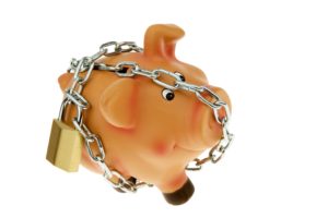Florida Asset Protection Piggy Bank Graphic